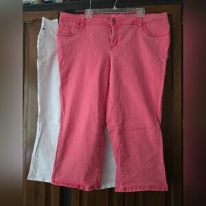 18W Sonoma Vibrant Pink & White Denim Modern Fit Capris (Pick Color)